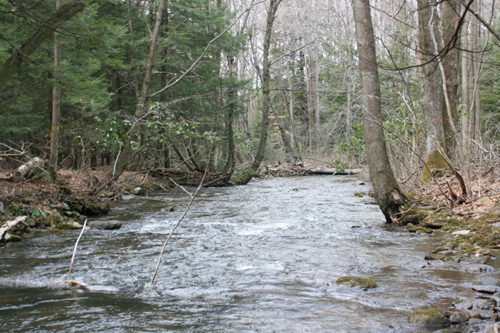 Field photo showing stream conditions at site YOUG-432-S-2011-2