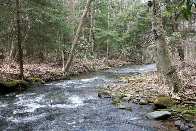 Field photo showing stream conditions at site YOUG-432-S-2012_Mid-point_P_Downstream