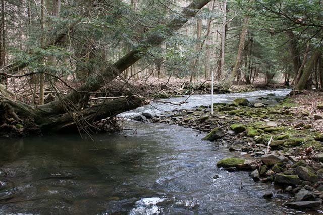 Field photo showing stream conditions at site YOUG-432-S-2012_Mid-point_P_Upstream