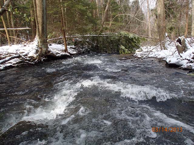 Field photo showing stream conditions at site YOUG-432-S-2013-MidpointDownstream