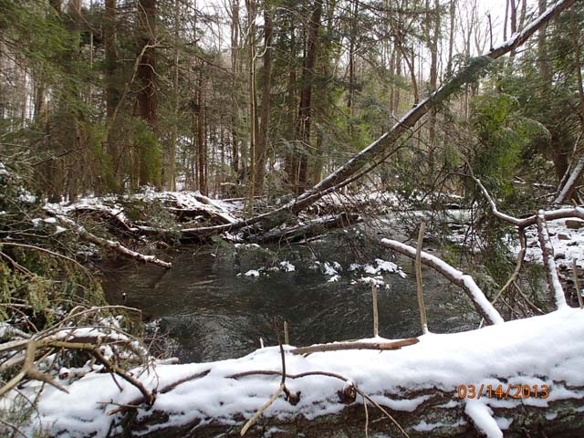 Field photo showing stream conditions at site YOUG-432-S-2013-MidpointUpstream