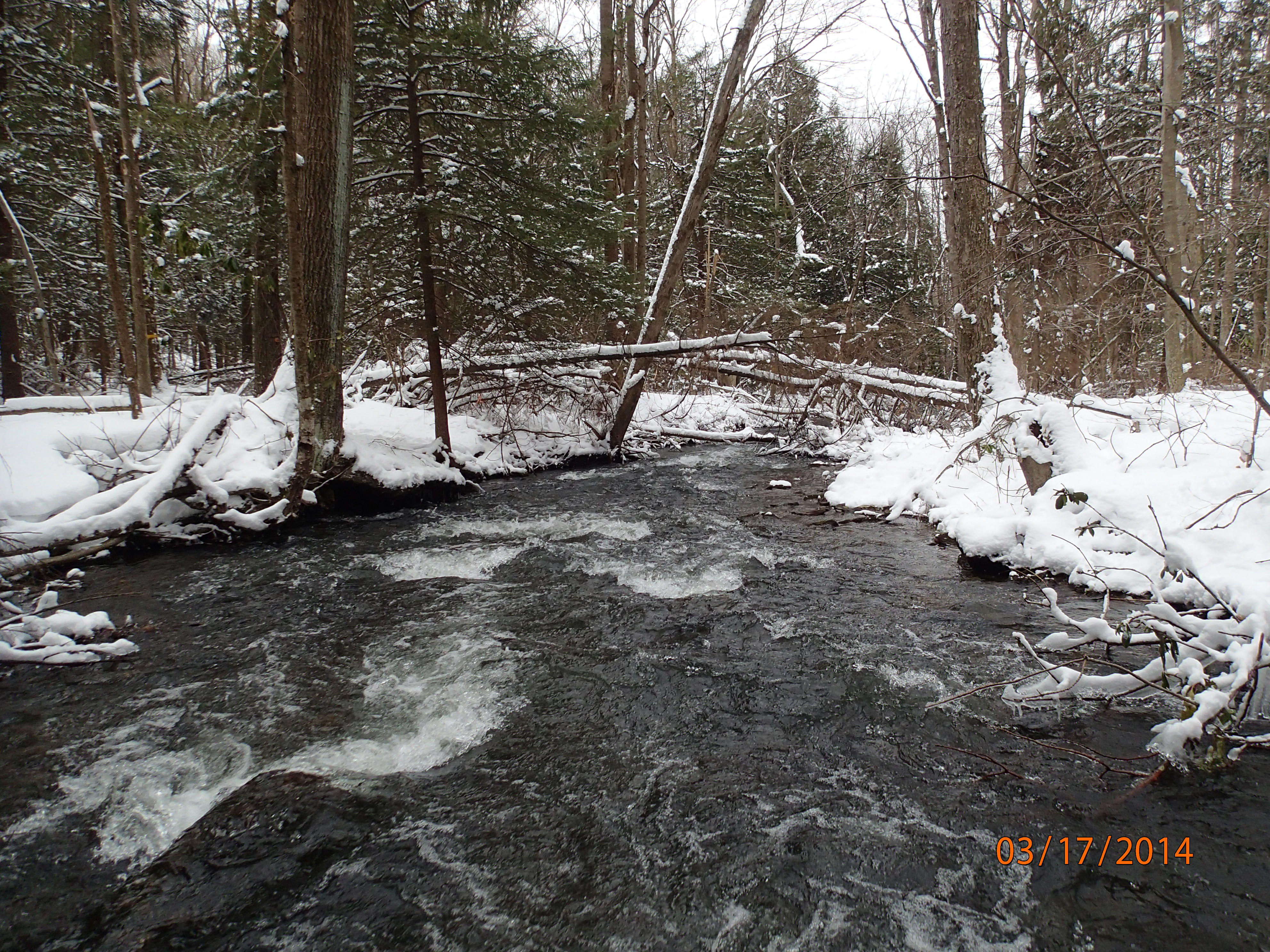 Field photo showing stream conditions at site YOUG-432-S-2014-MidpointDownstream