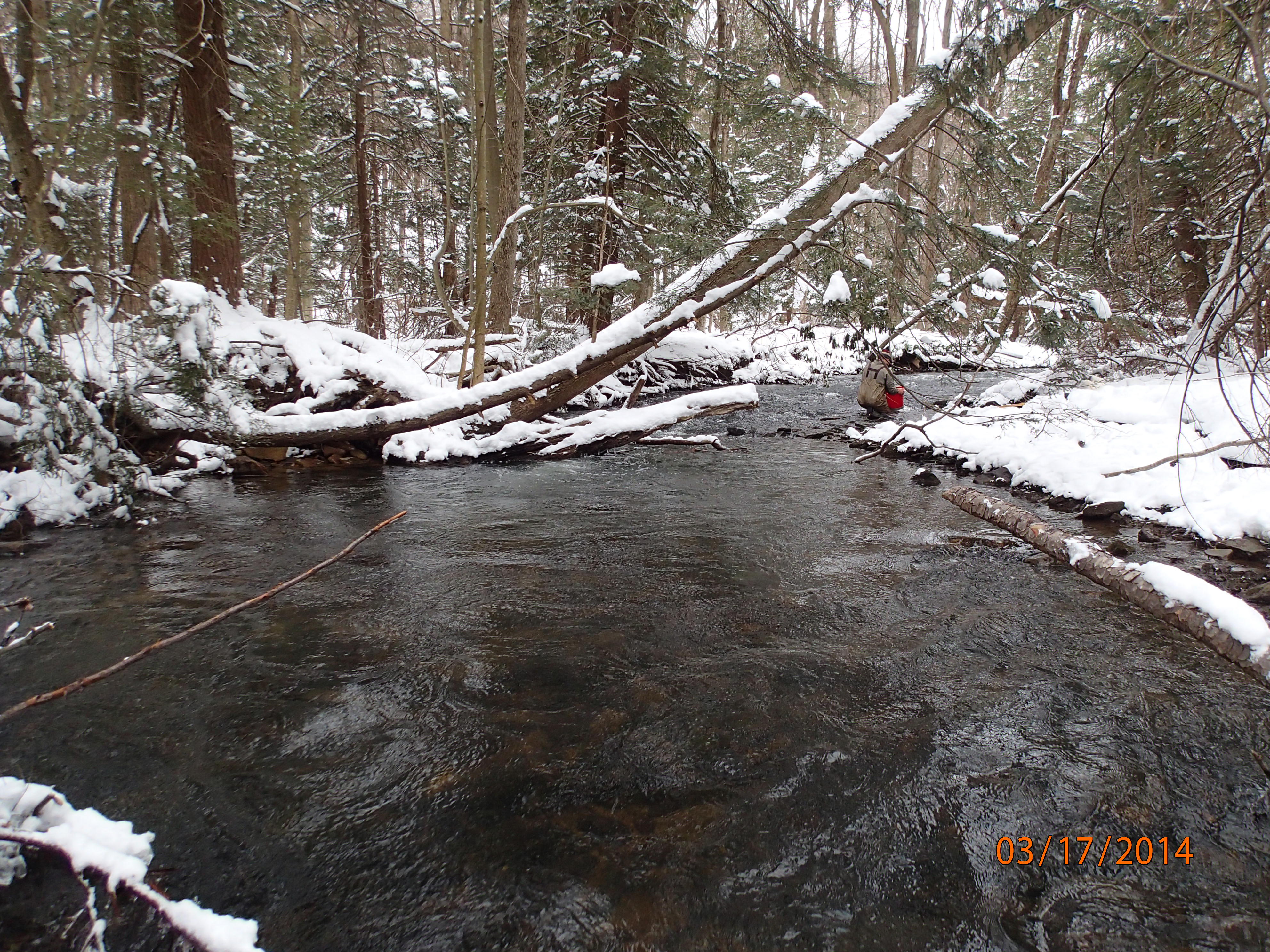 Field photo showing stream conditions at site YOUG-432-S-2014-MidpointUpstream