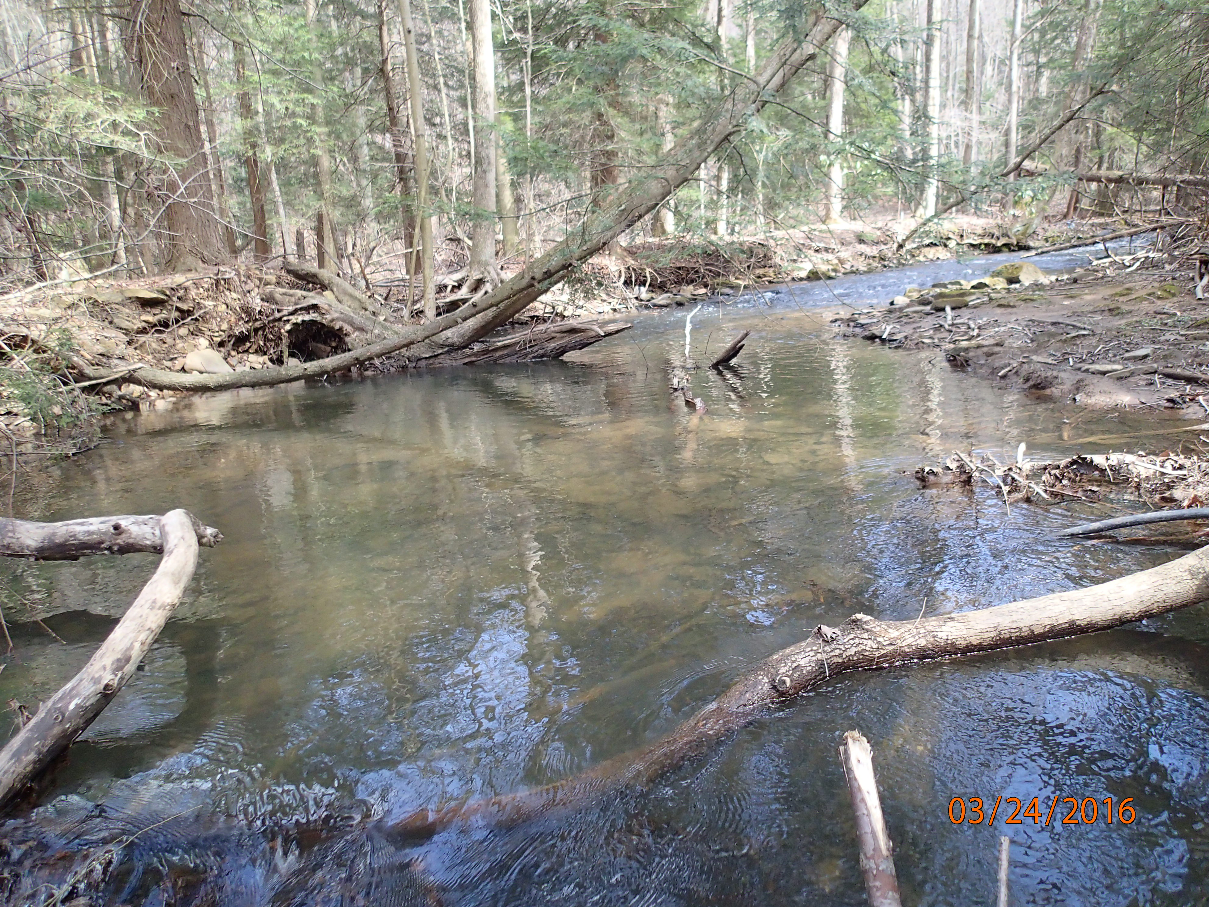 Field photo showing stream conditions at site YOUG-432-S-2016-MidpointPUpstream