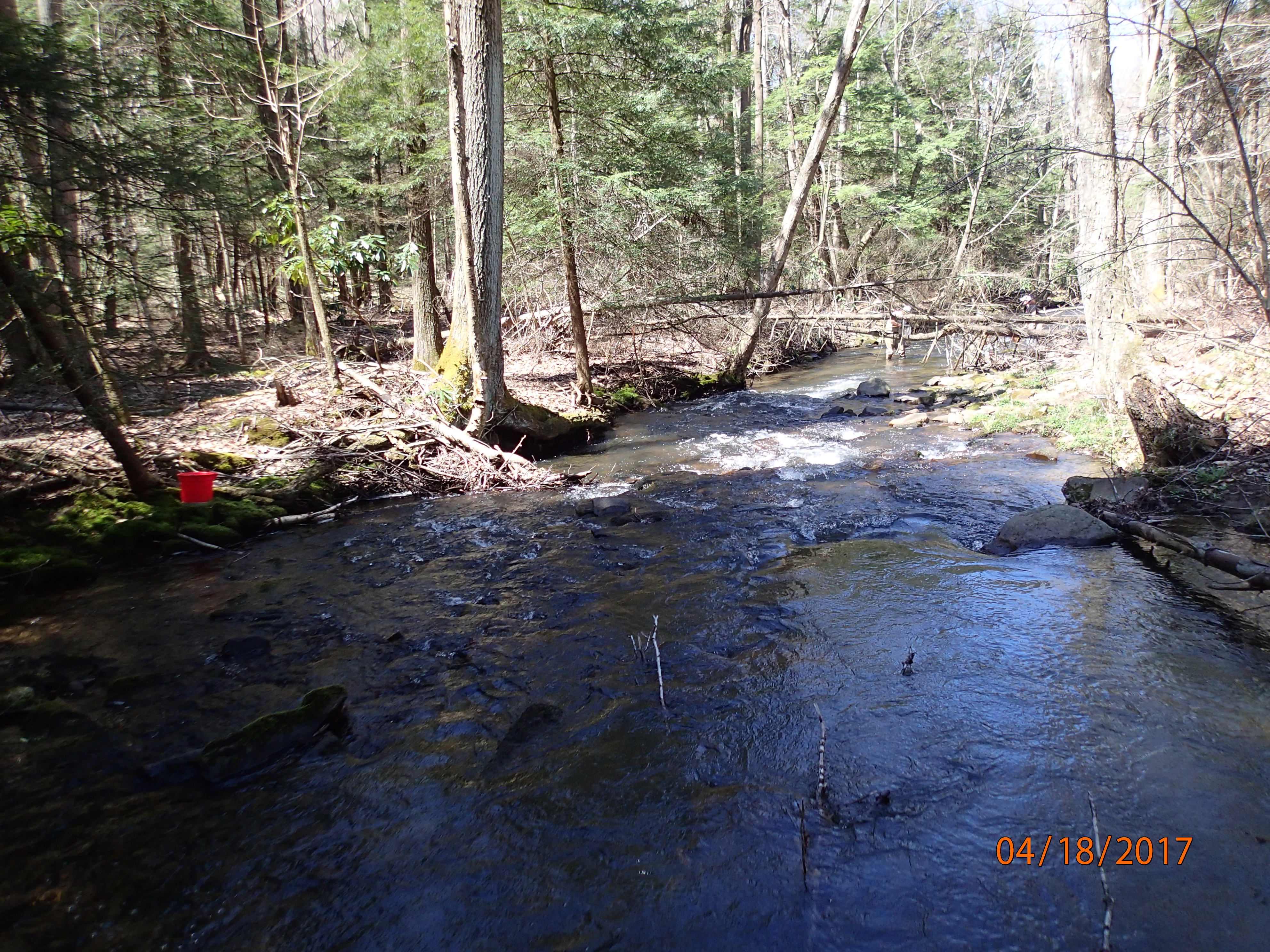 Field photo showing stream conditions at site YOUG-432-S-2017-DownstreamFromMidpointP