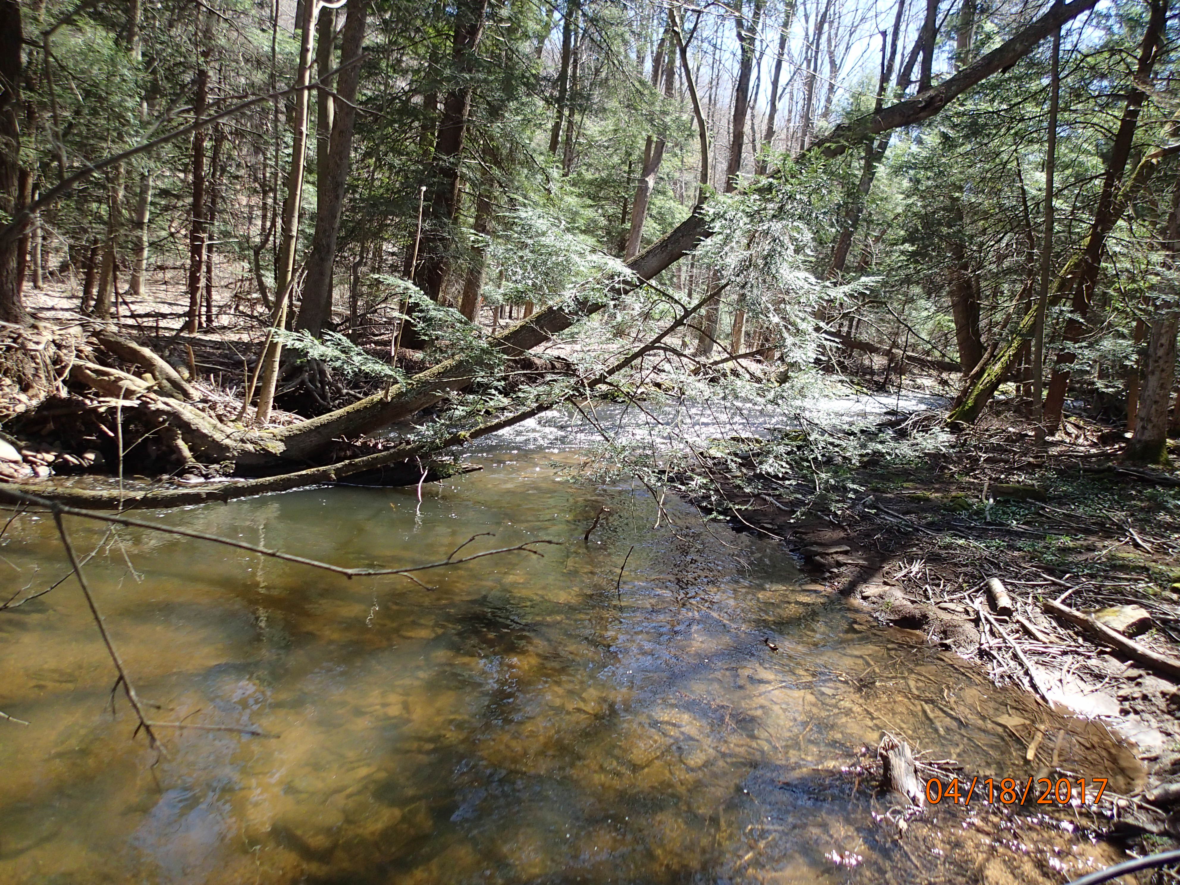 Field photo showing stream conditions at site YOUG-432-S-2017-UpstreamFromMidpointP