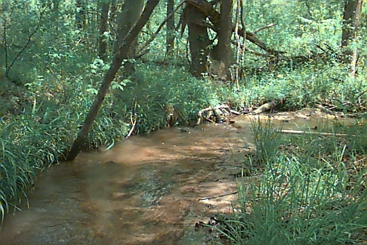 Field photo showing stream conditions at site ZEKI-012-S-2000-02