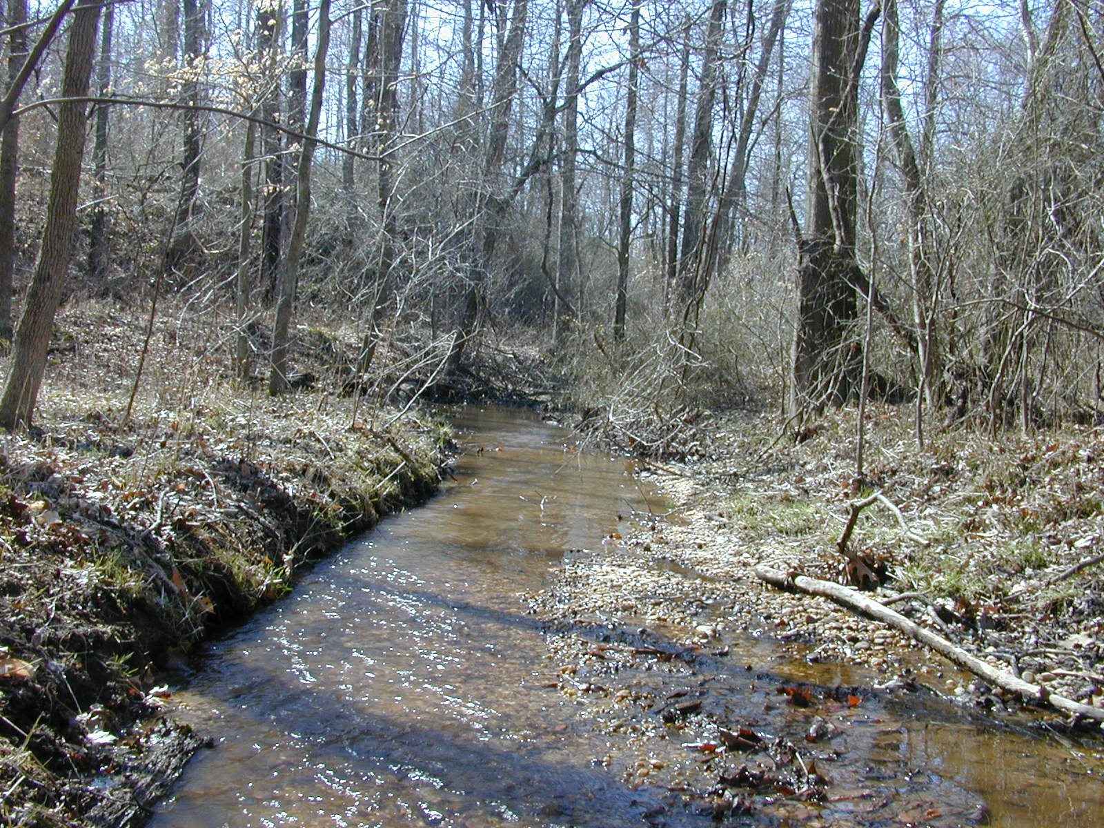 Field photo showing stream conditions at site ZEKI-012-S-2001-84