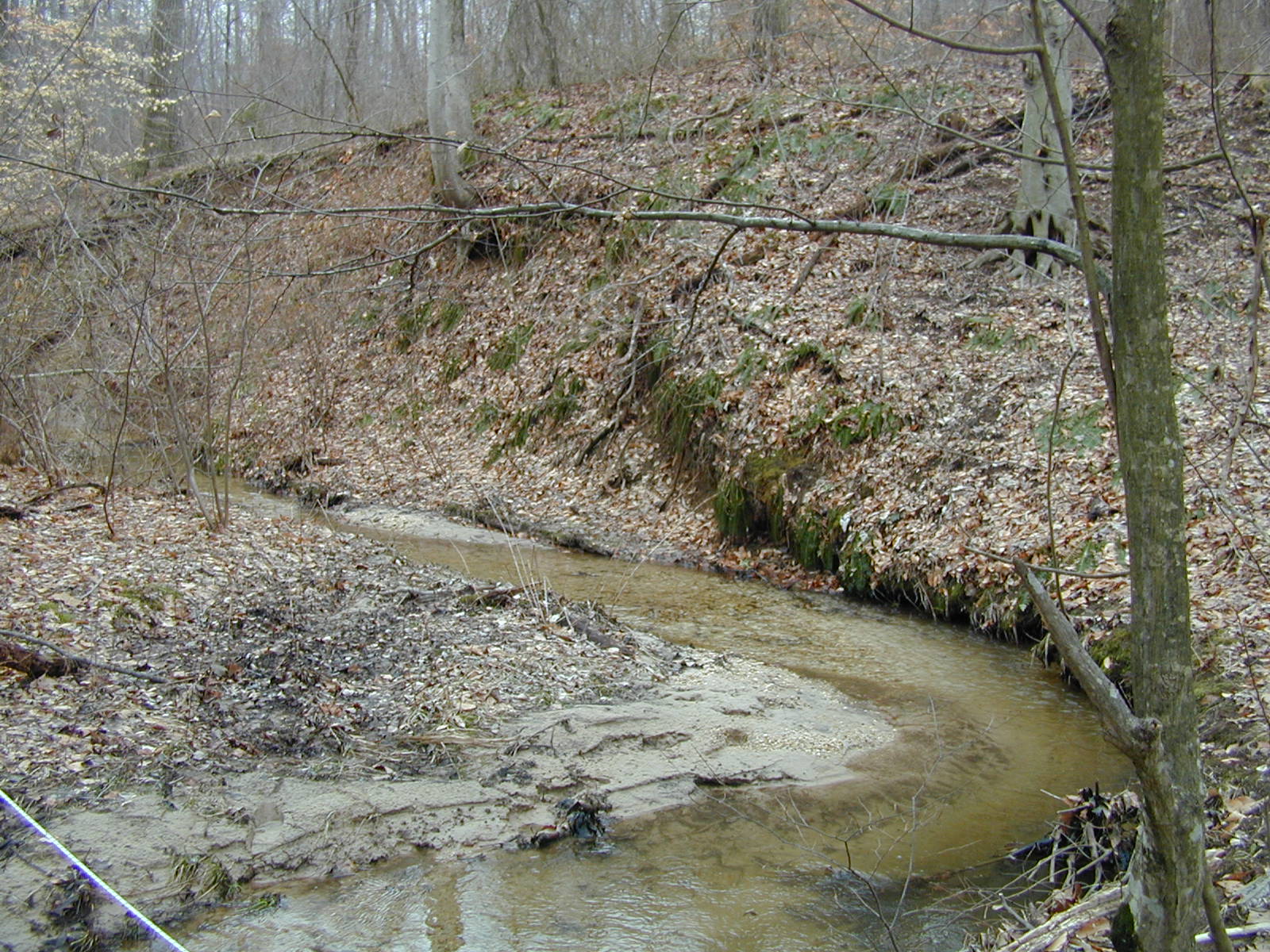 Field photo showing stream conditions at site ZEKI-012-S-2003-708