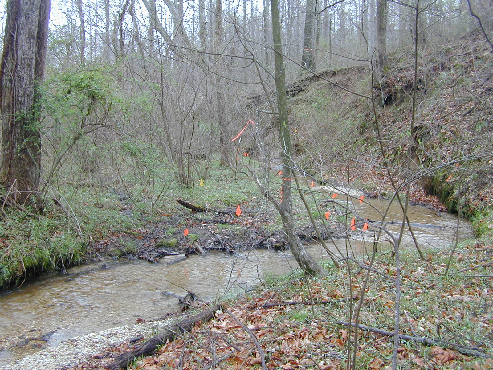 Field photo showing stream conditions at site ZEKI-012-S-2004-1