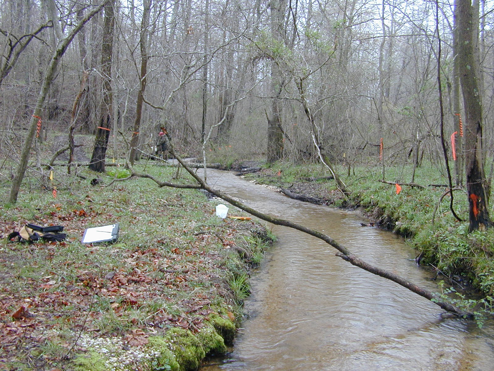 Field photo showing stream conditions at site ZEKI-012-S-2004-2