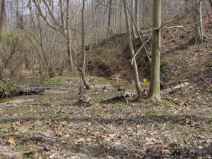 Field photo showing stream conditions at site ZEKI-012-S-2007-1