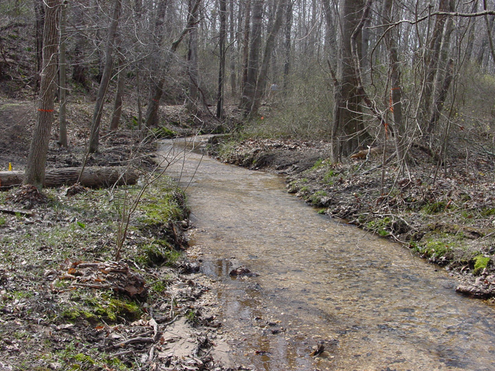 Field photo showing stream conditions at site ZEKI-012-S-2007-2