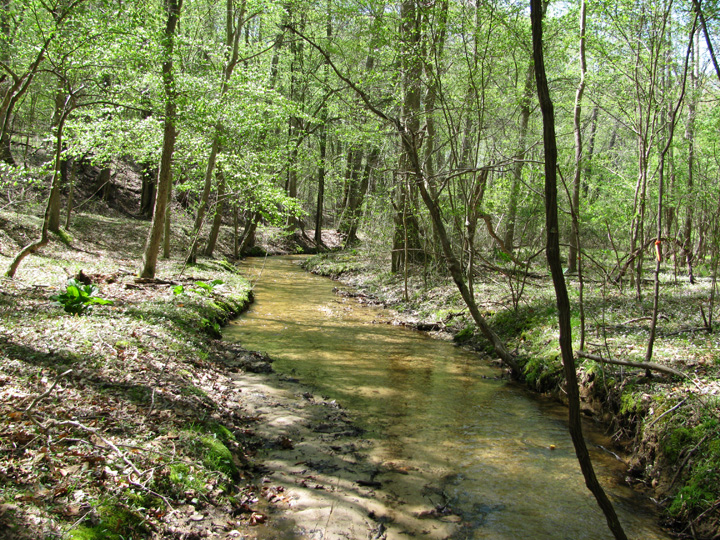 Field photo showing stream conditions at site ZEKI-012-S-2010-1