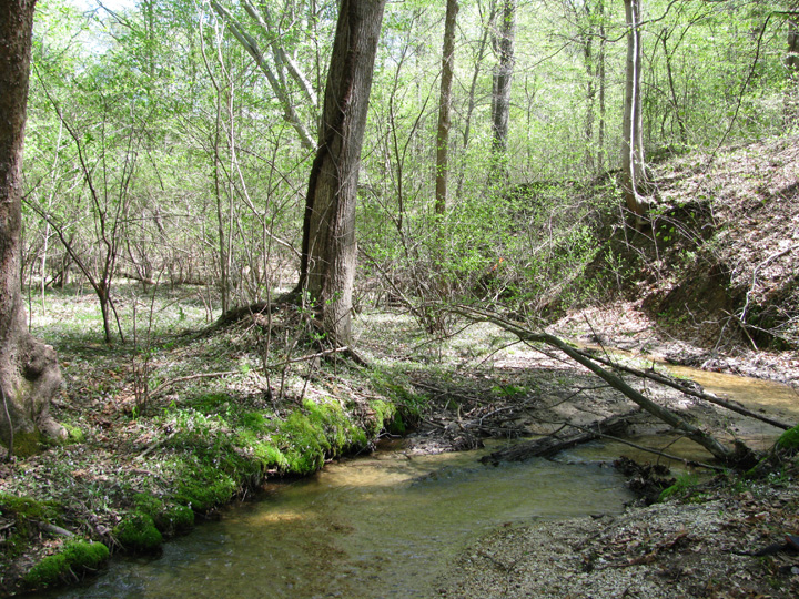 Field photo showing stream conditions at site ZEKI-012-S-2010-2