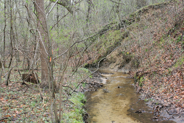 Field photo showing stream conditions at site ZEKI-012-S-2011-1
