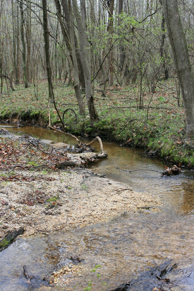 Field photo showing stream conditions at site ZEKI-012-S-2011-2
