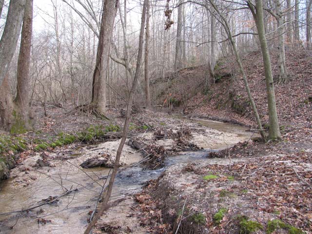 Field photo showing stream conditions at site ZEKI-012-S-2012-1