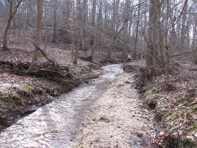 Field photo showing stream conditions at site ZEKI-012-S-2012-2