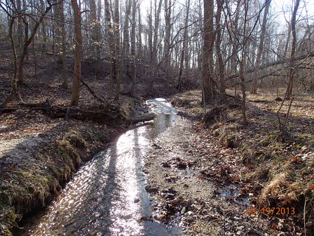 Field photo showing stream conditions at site ZEKI-012-S-2013-USFWSpinDownstream