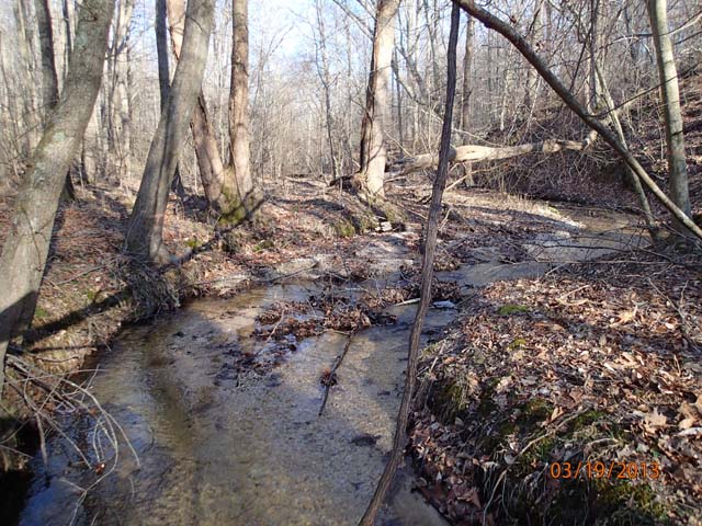 Field photo showing stream conditions at site ZEKI-012-S-2013-USFWSpinUpstream