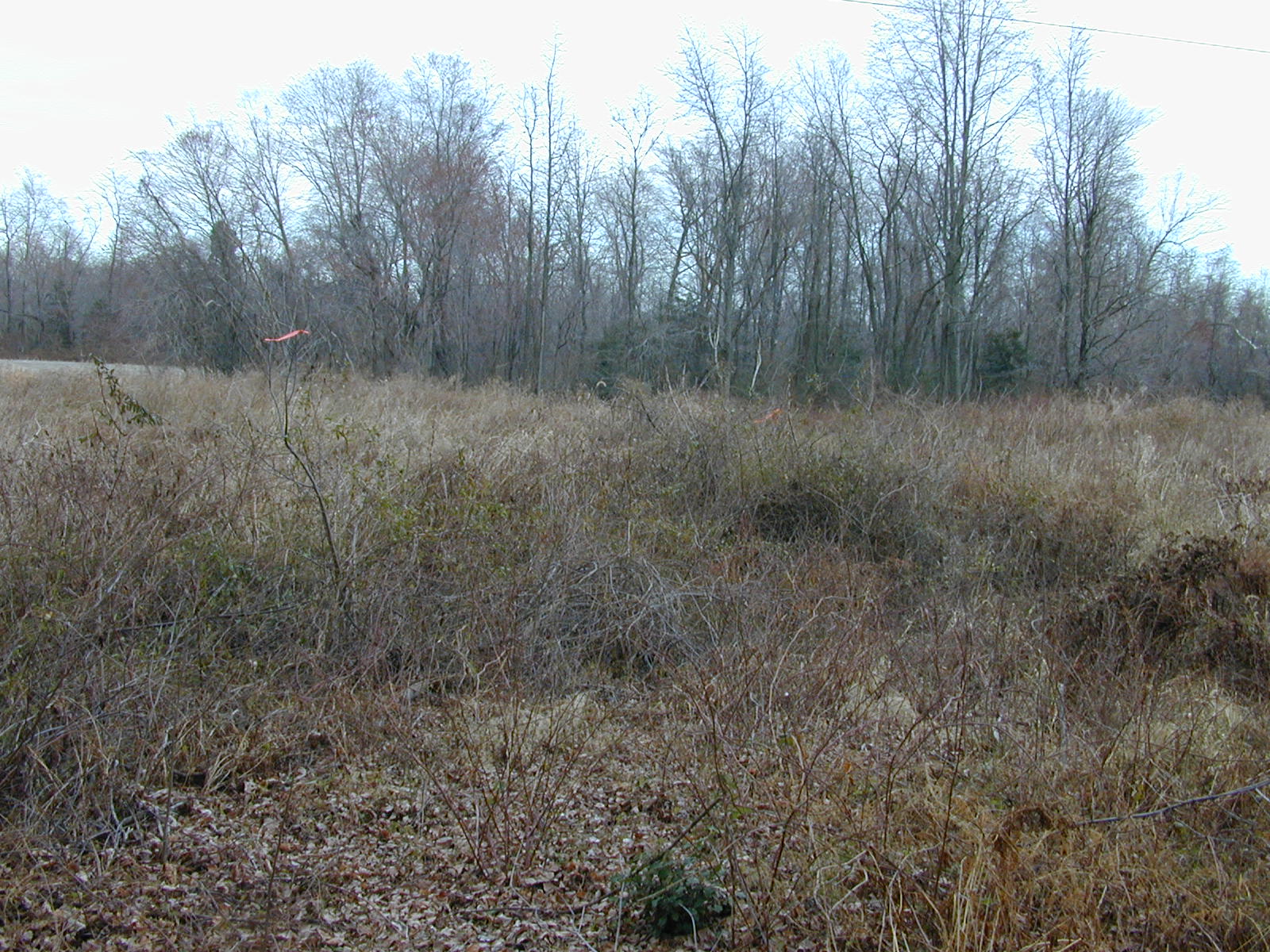 Field photo showing stream conditions at site ZEKI-103-R-2001-51