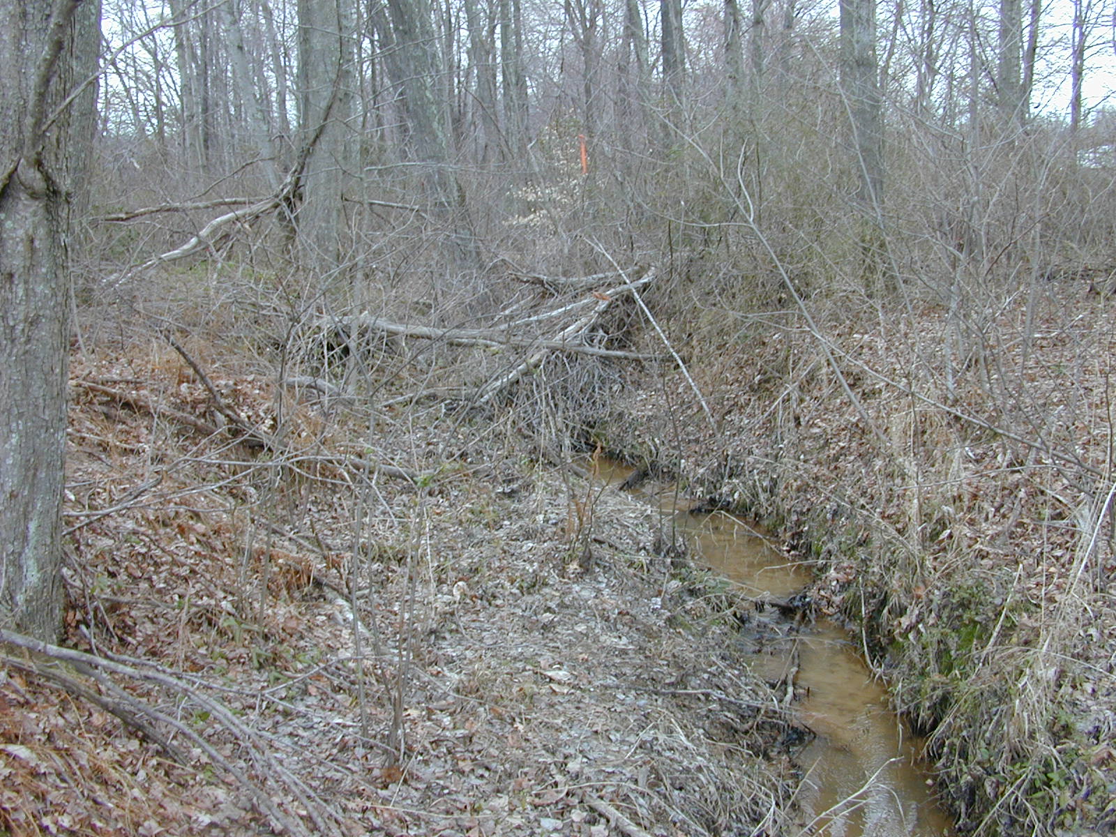Field photo showing stream conditions at site ZEKI-103-R-2001-52
