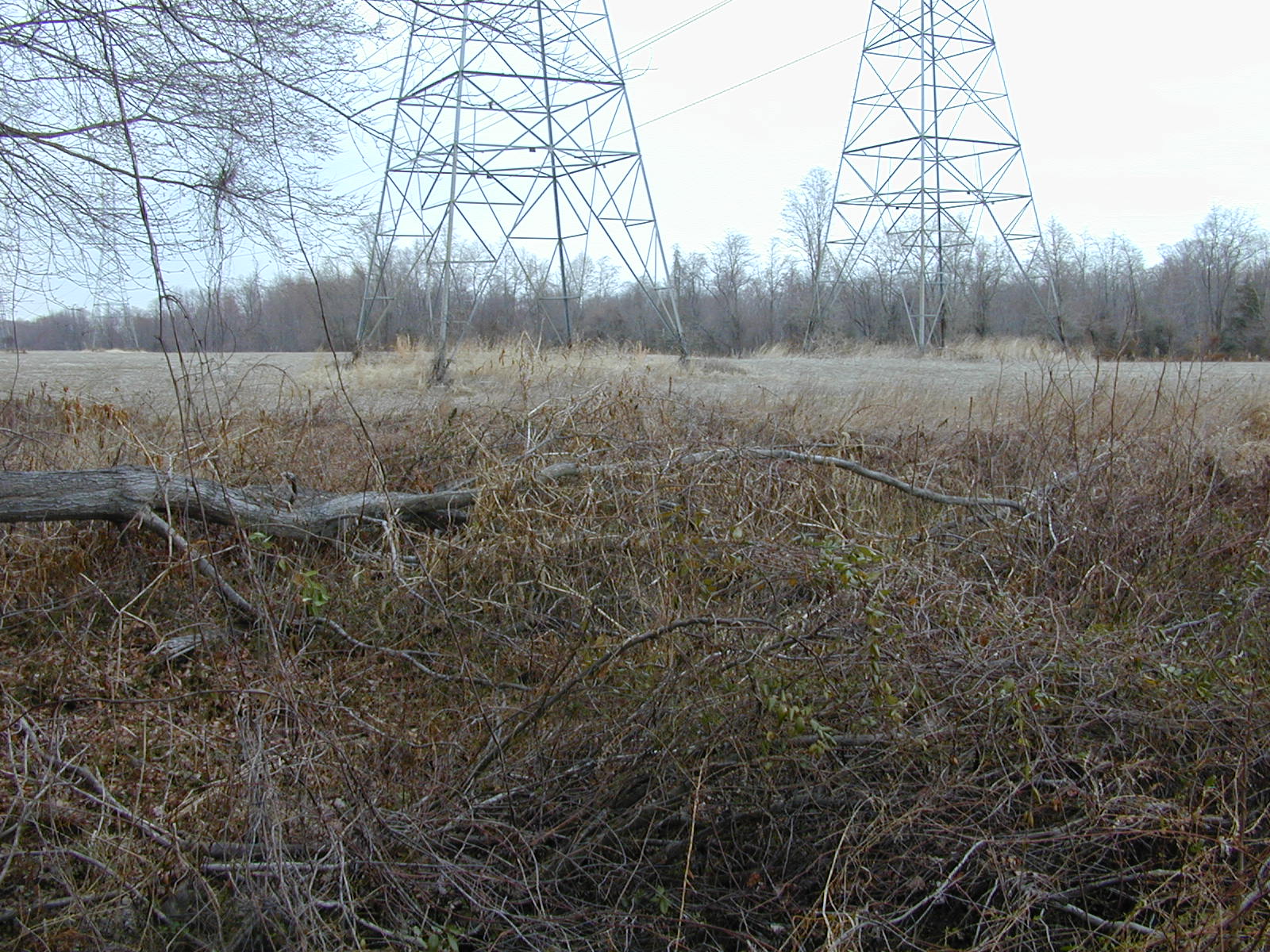 Field photo showing stream conditions at site ZEKI-103-R-2001-53