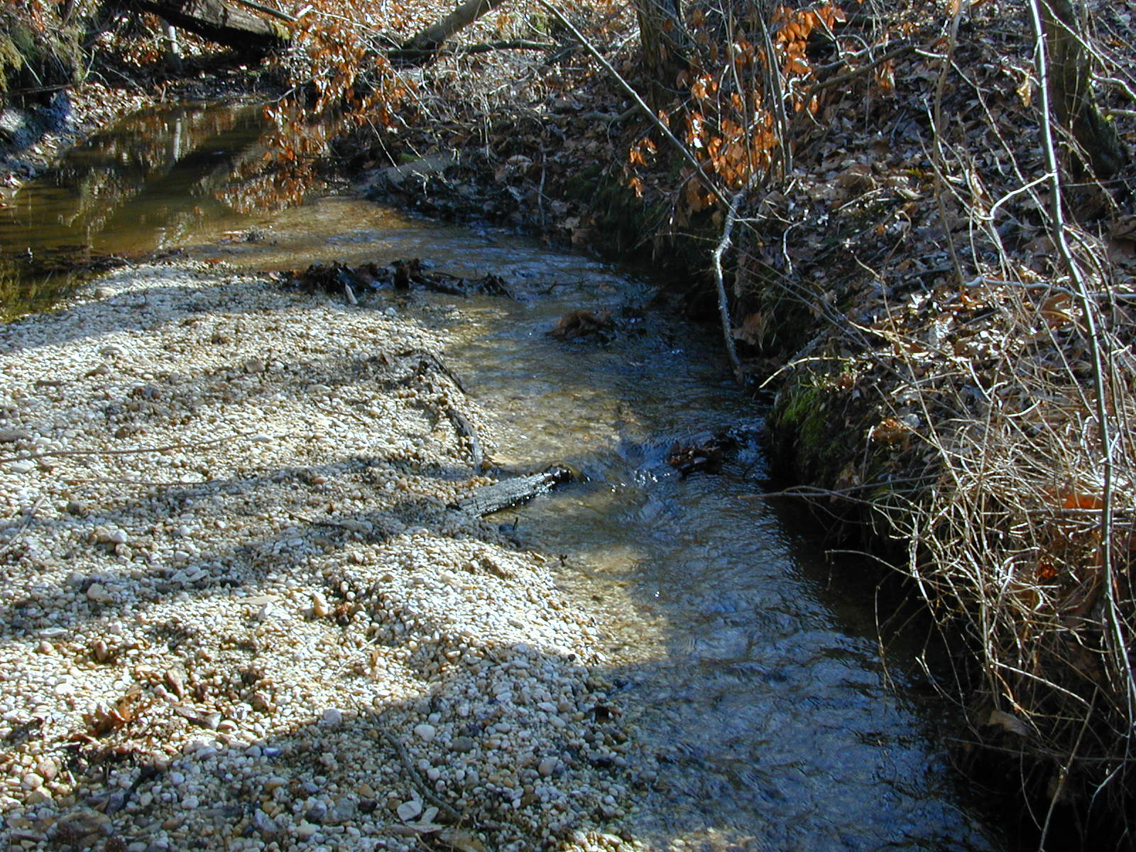 Field photo showing stream conditions at site ZEKI-104-R-2001-42