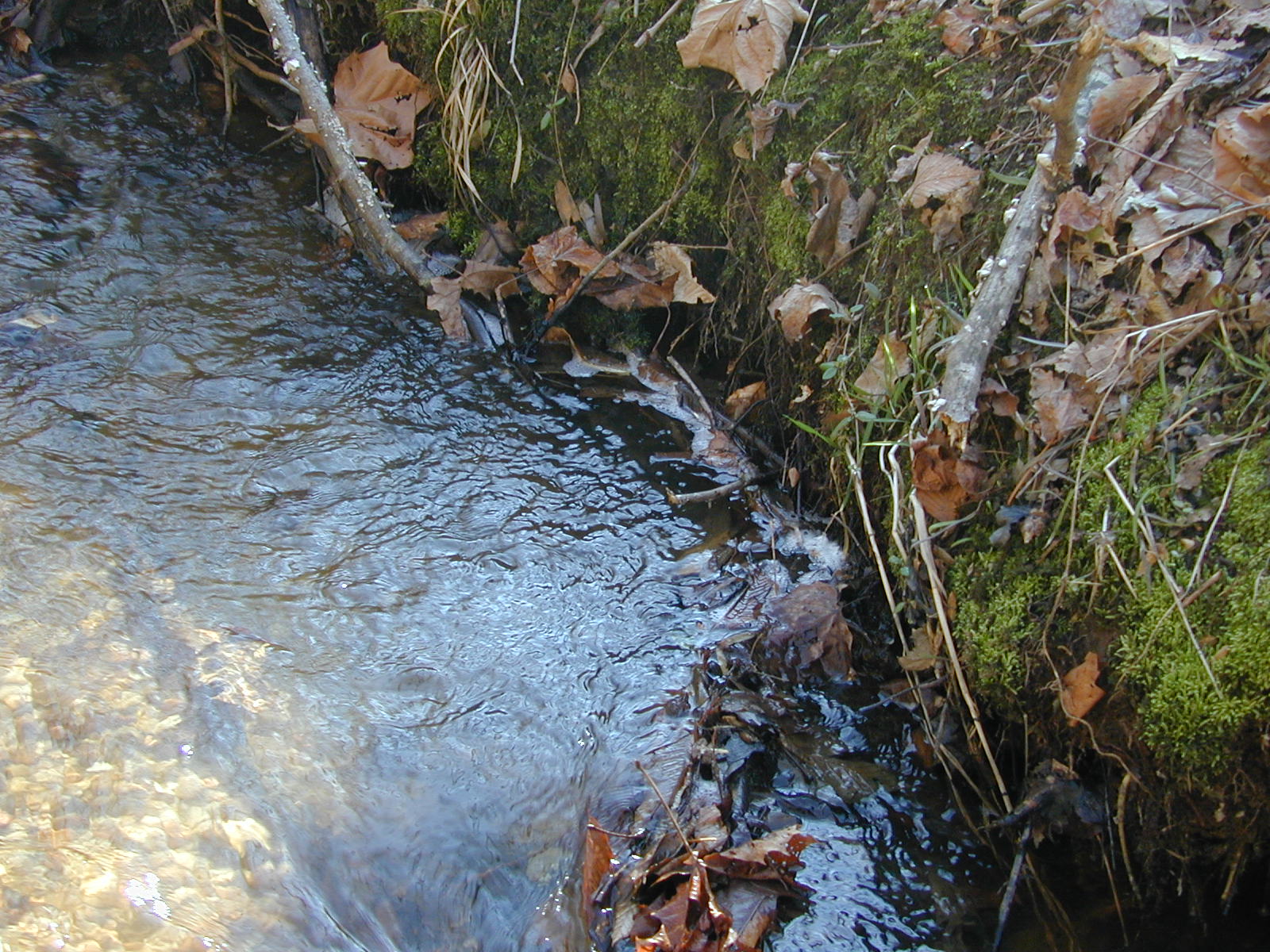 Field photo showing stream conditions at site ZEKI-104-R-2001-43