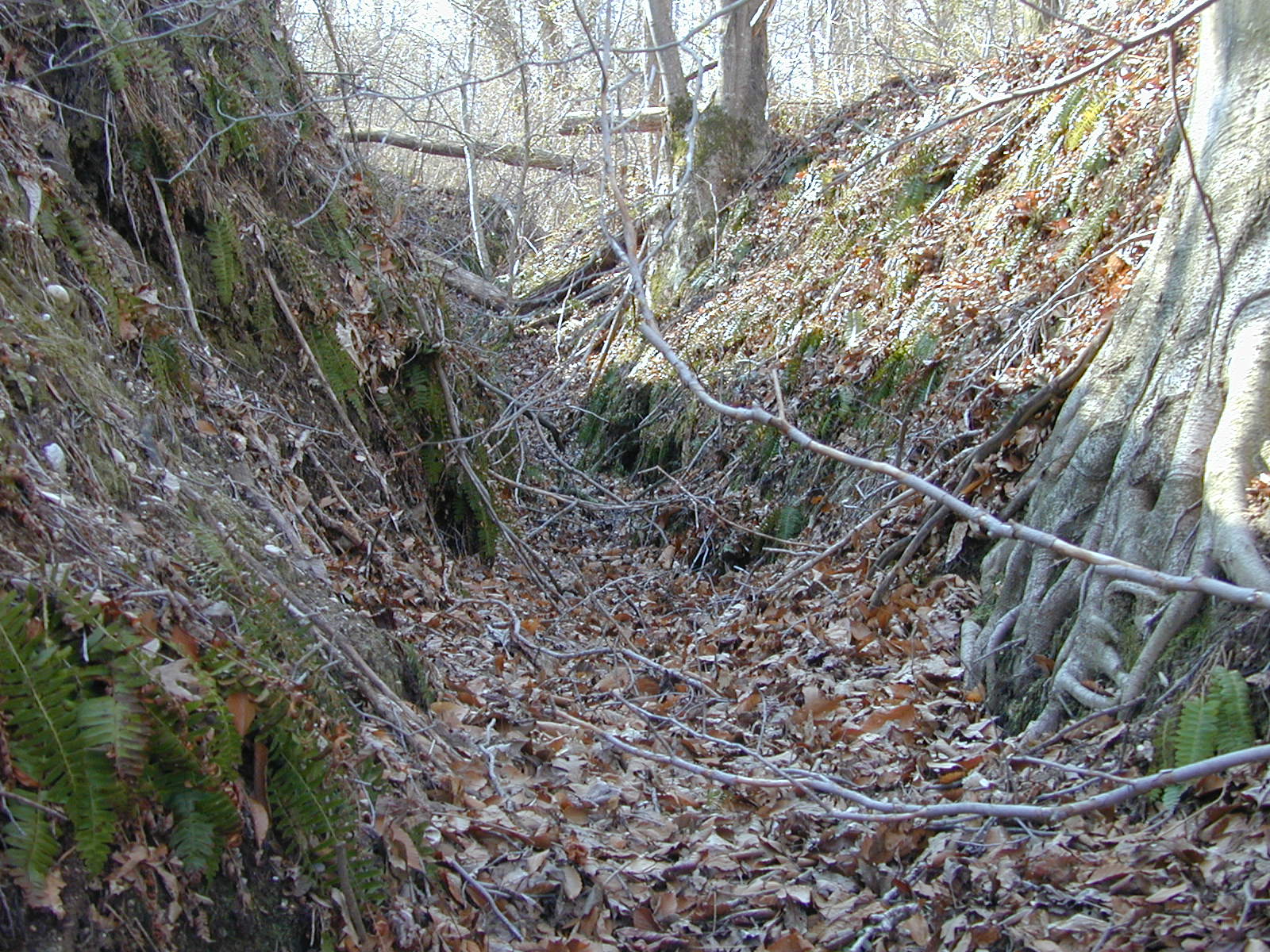 Field photo showing stream conditions at site ZEKI-104-R-2001-45