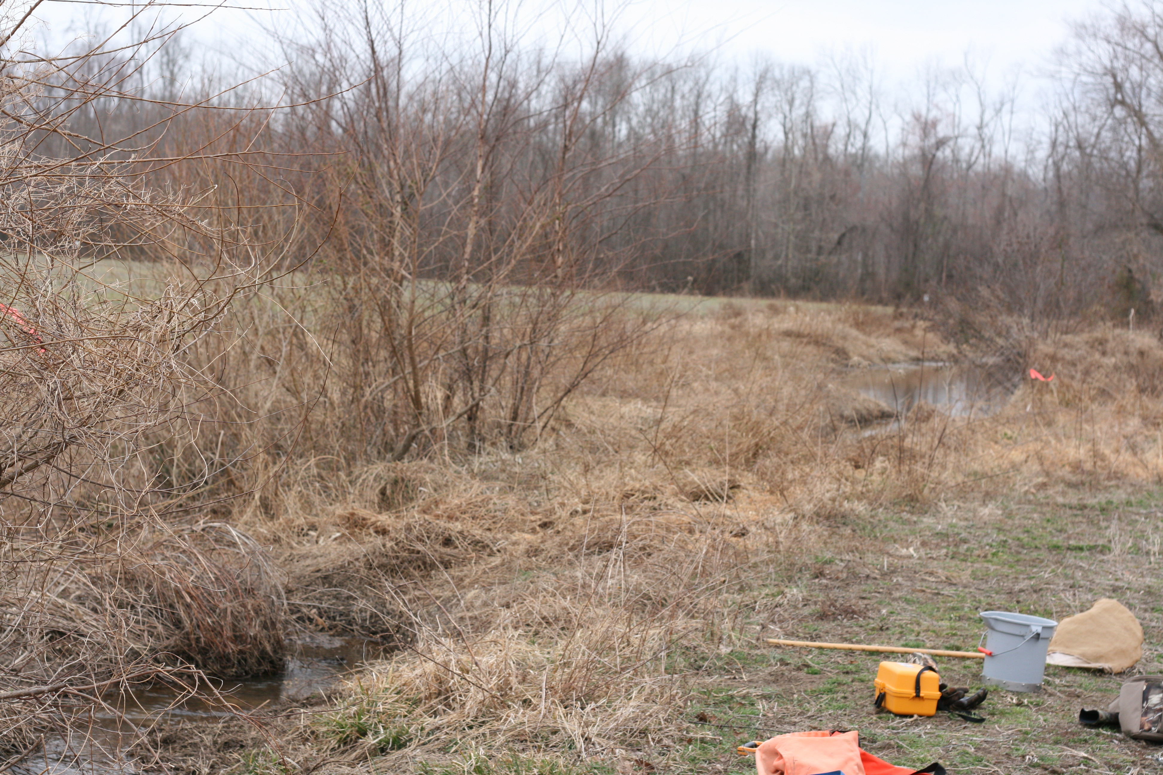 Field photo showing stream conditions at site ZEKI-104-R-2009-1