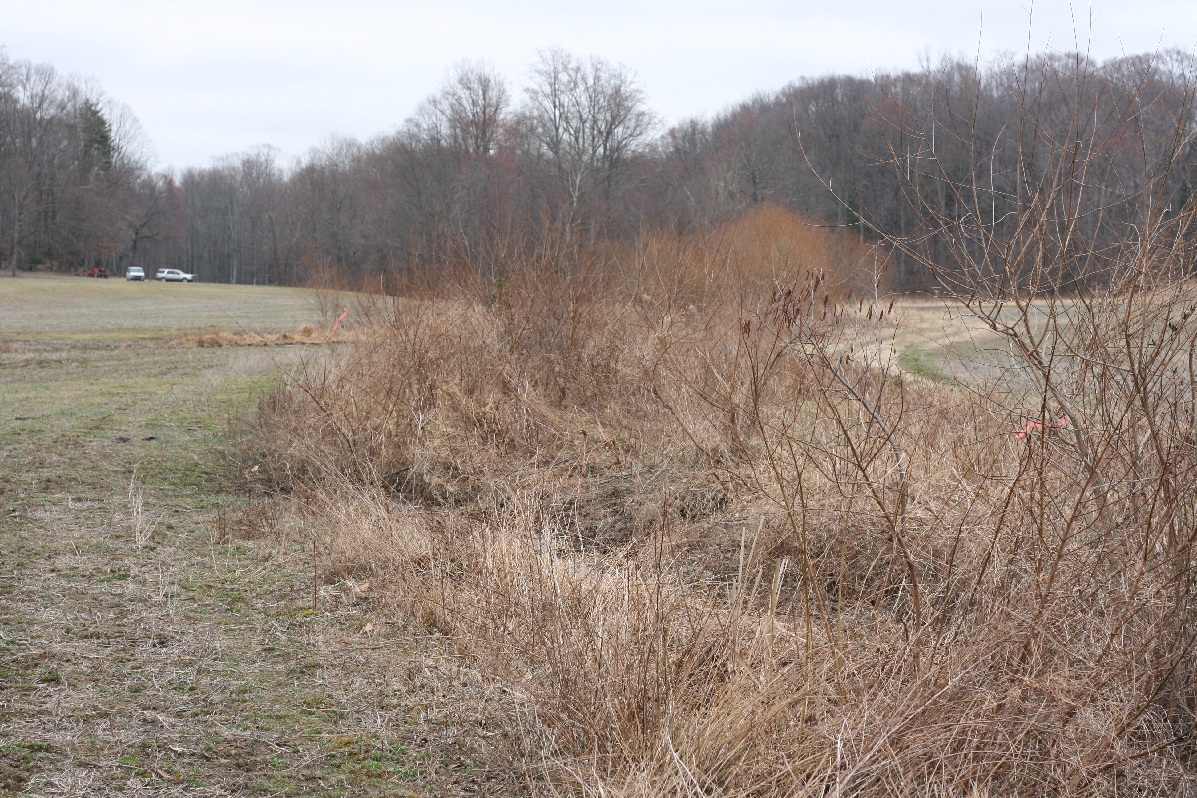 Field photo showing stream conditions at site ZEKI-104-R-2009-2
