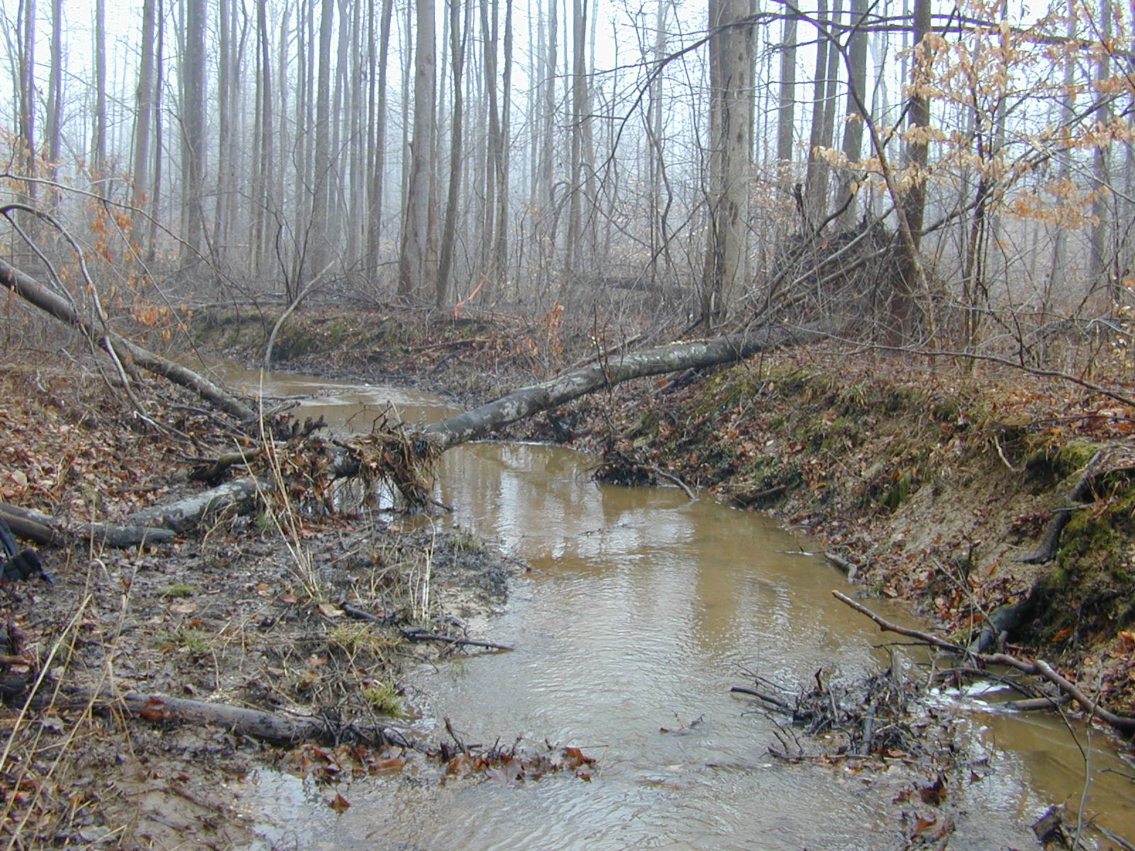 Field photo showing stream conditions at site ZEKI-106-R-2001-89