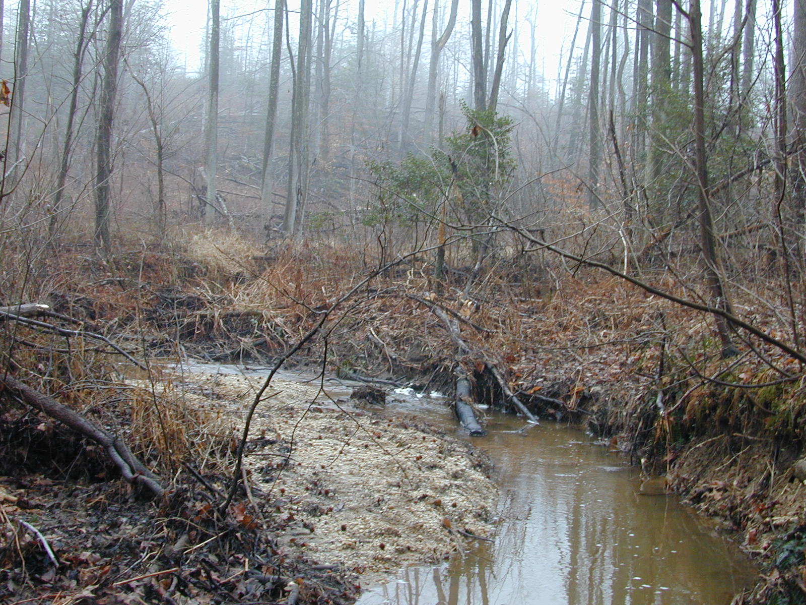 Field photo showing stream conditions at site ZEKI-106-R-2001-90