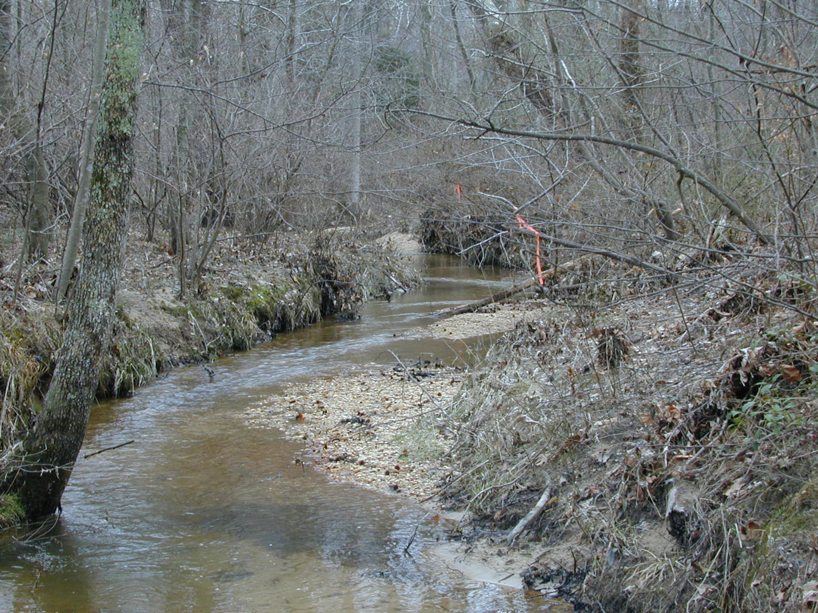 Field photo showing stream conditions at site ZEKI-109-R-2001-95