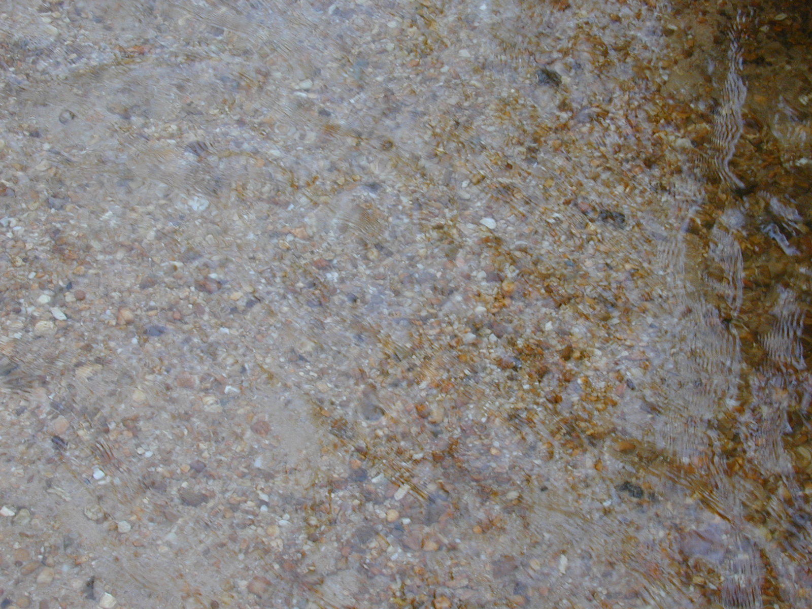 Field photo showing stream conditions at site ZEKI-109-R-2001-96
