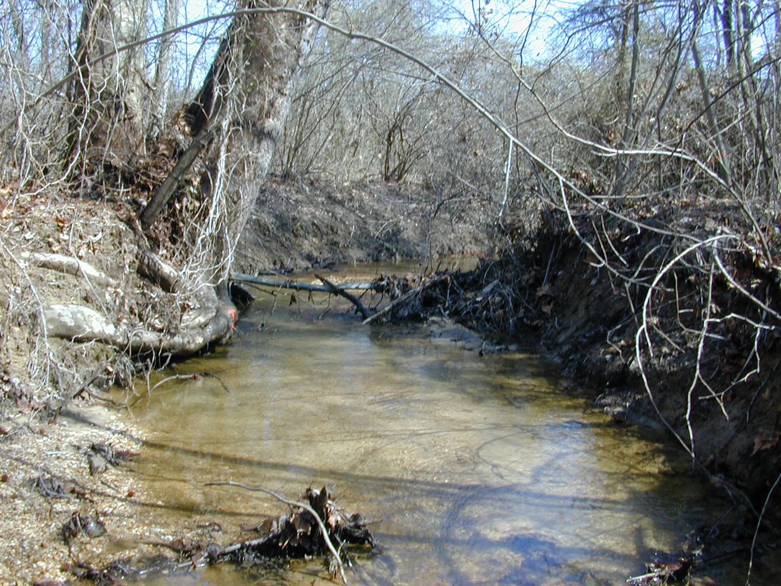 Field photo showing stream conditions at site ZEKI-114-R-2001-92