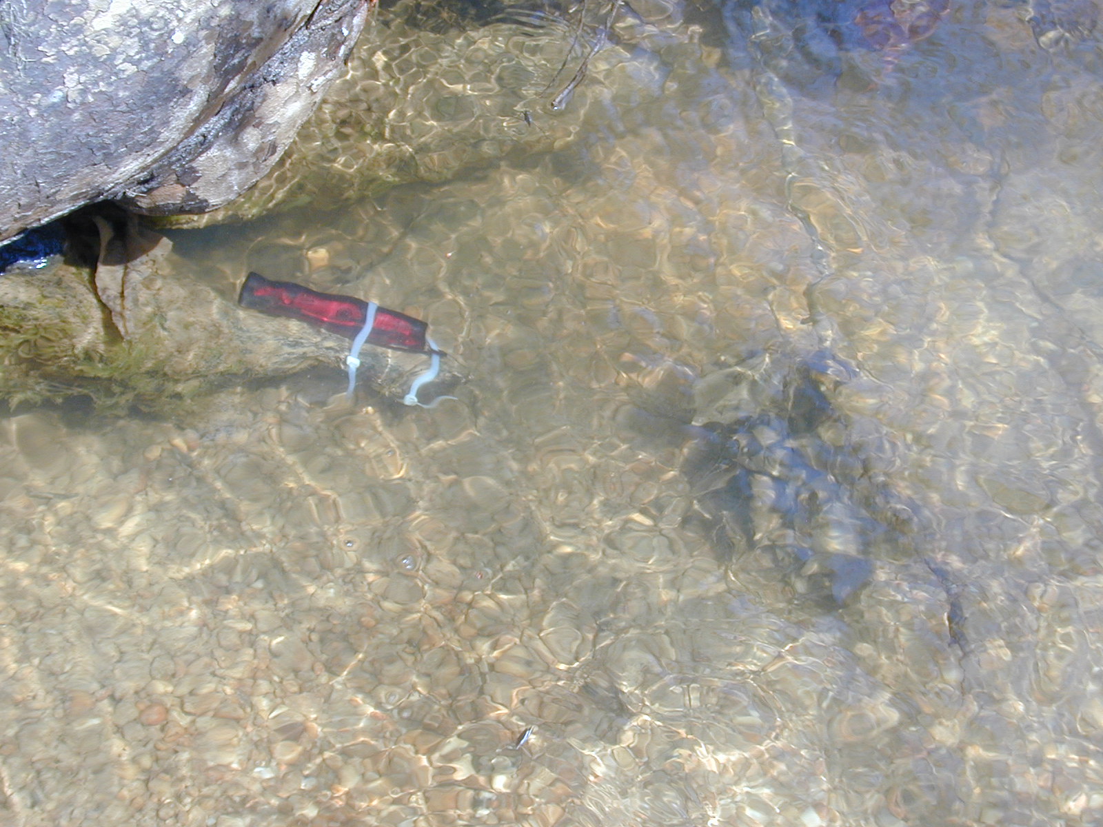 Field photo showing stream conditions at site ZEKI-114-R-2001-93