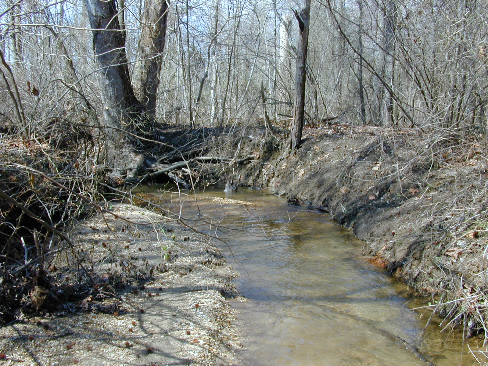 Field photo showing stream conditions at site ZEKI-114-R-2001-94