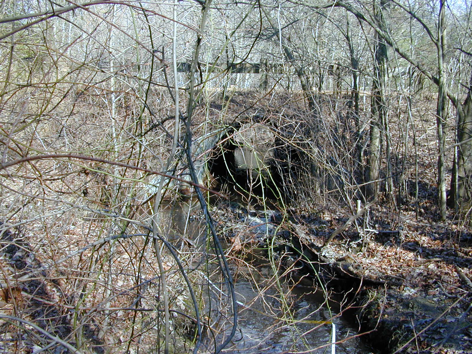 Field photo showing stream conditions at site ZEKI-116-R-2001-70