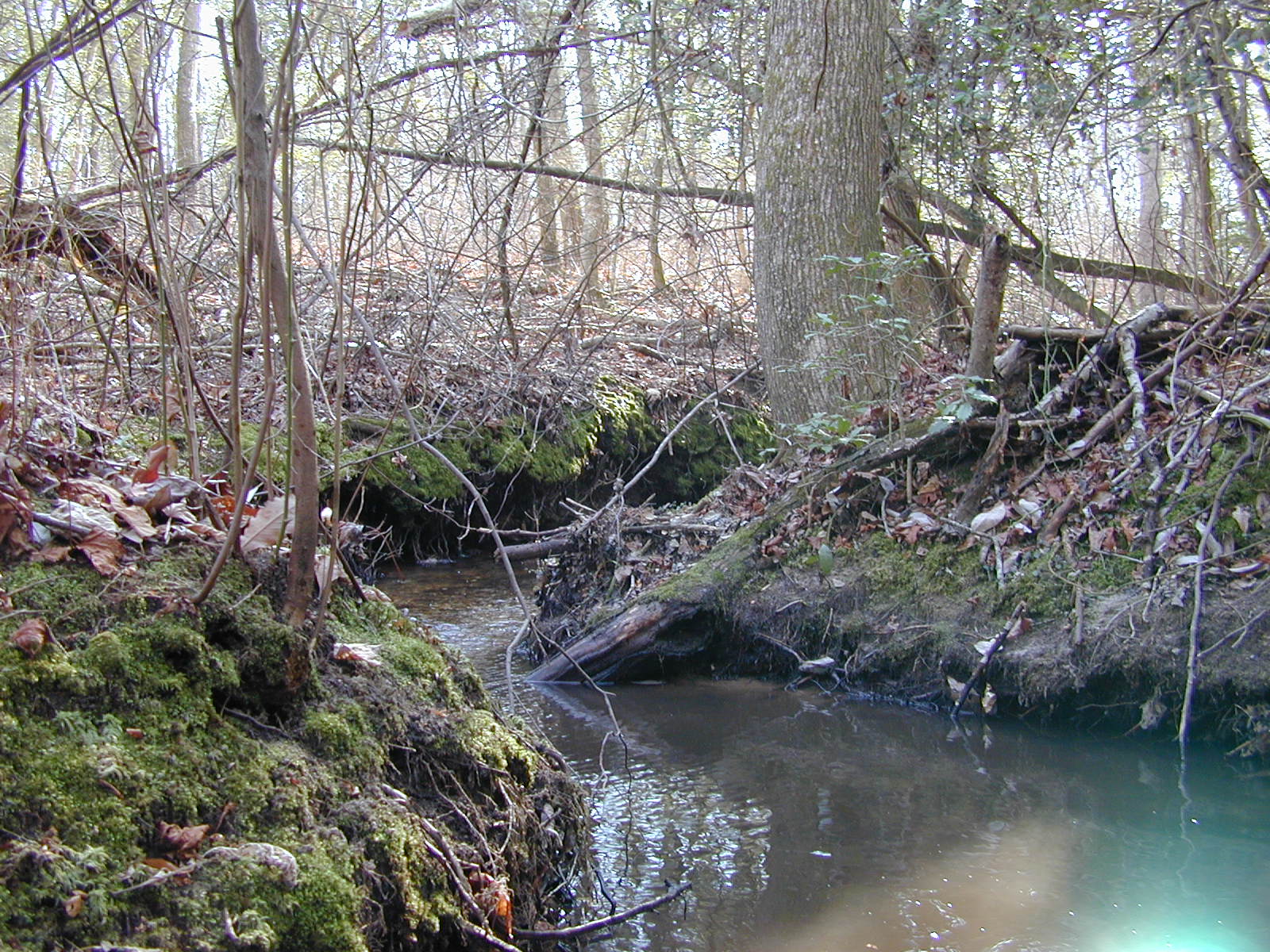 Field photo showing stream conditions at site ZEKI-116-R-2001-71