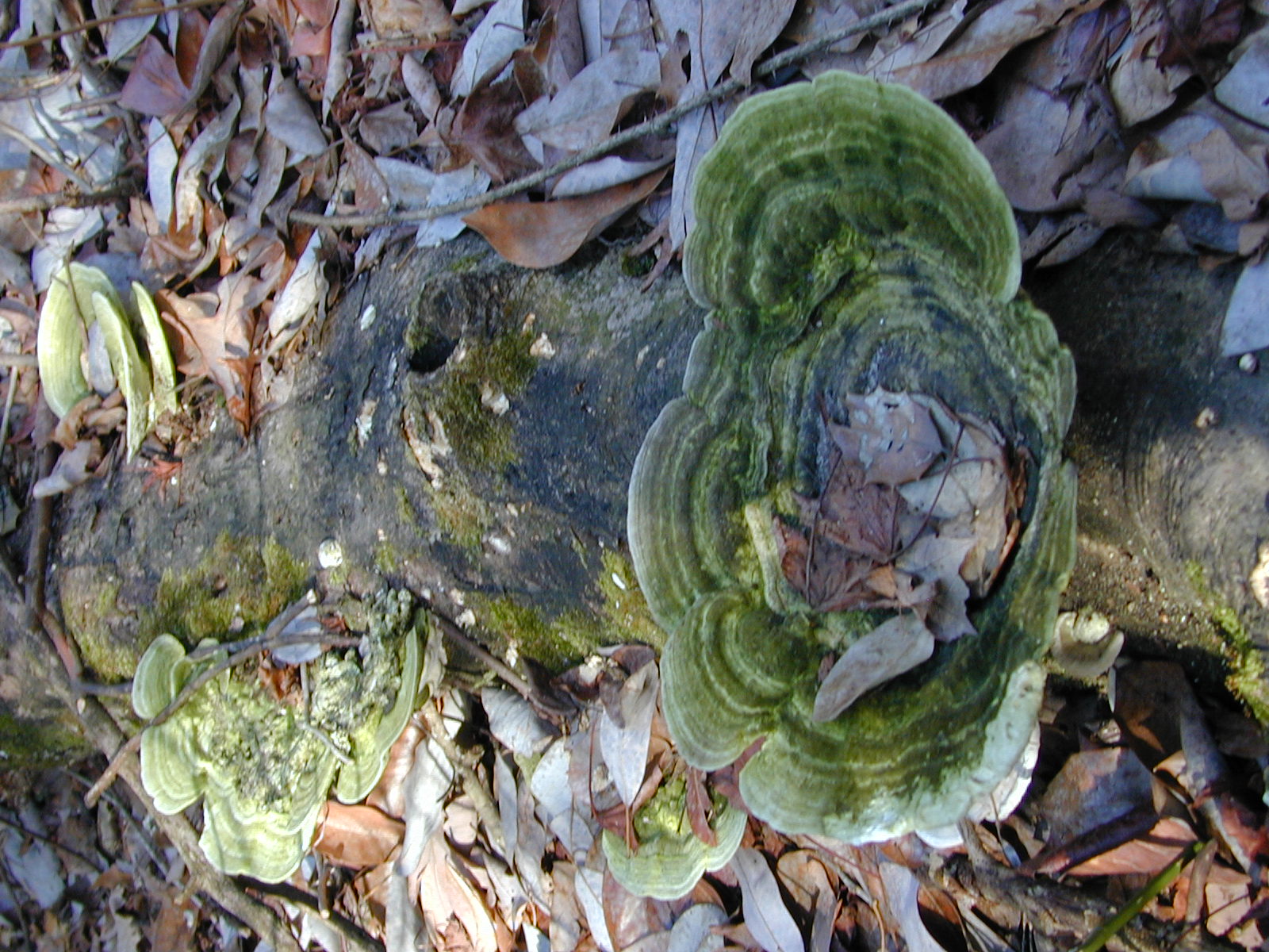 Field photo showing stream conditions at site ZEKI-116-R-2001-73