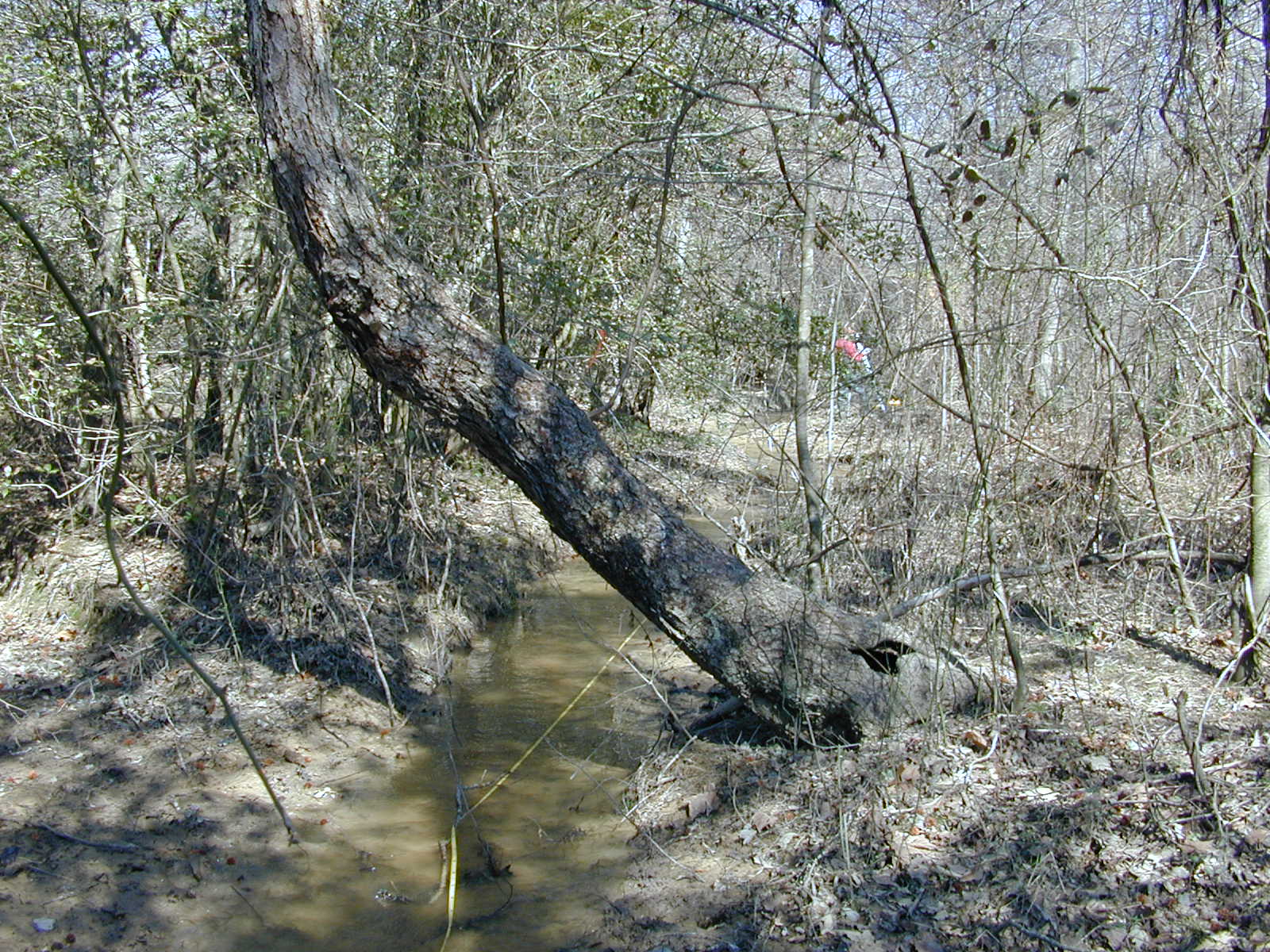 Field photo showing stream conditions at site ZEKI-117-R-2001-47