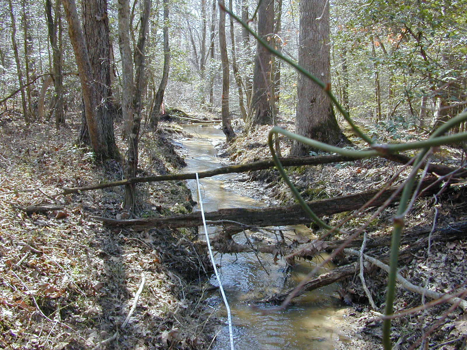 Field photo showing stream conditions at site ZEKI-117-R-2001-48
