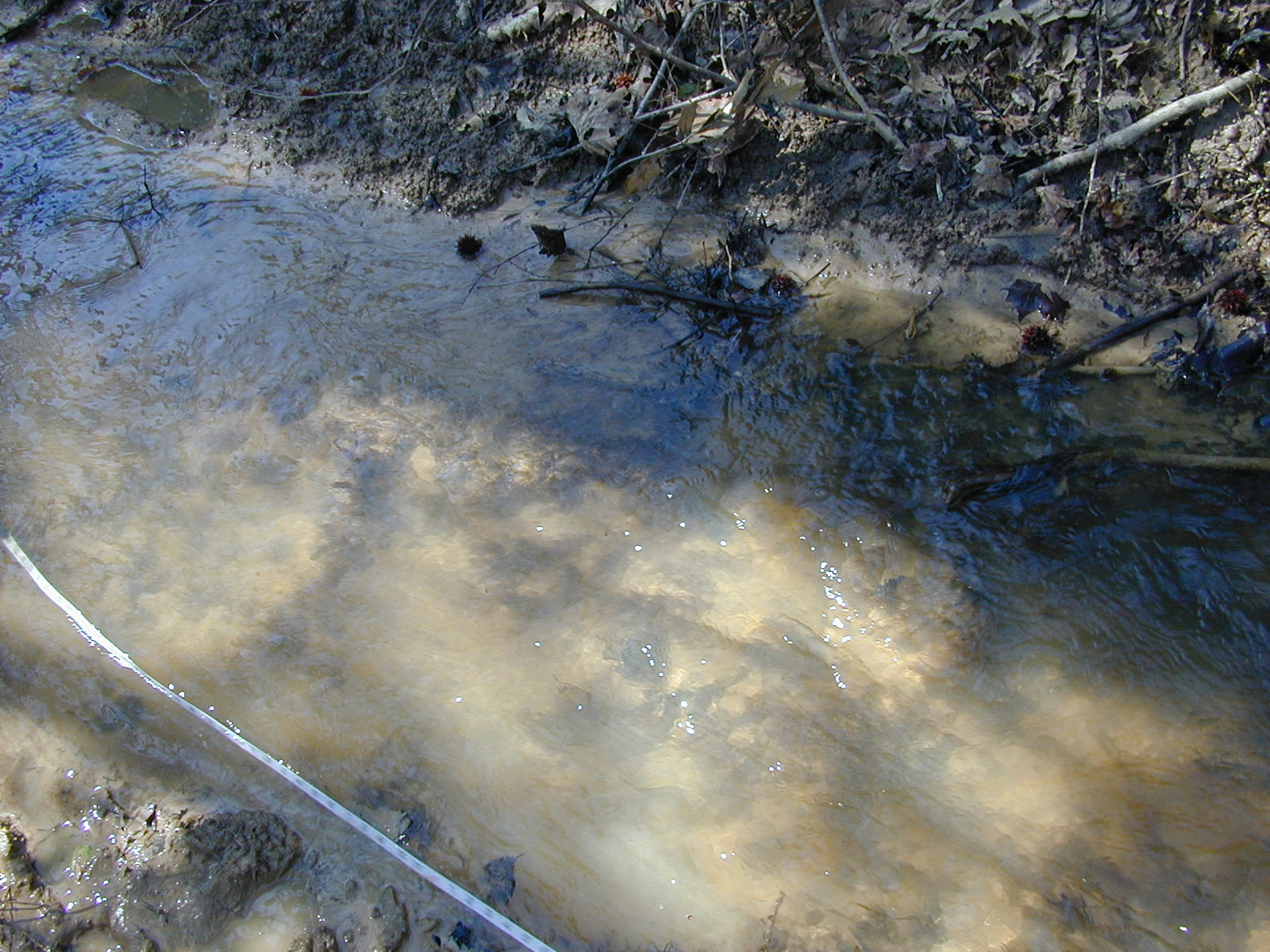 Field photo showing stream conditions at site ZEKI-117-R-2001-49