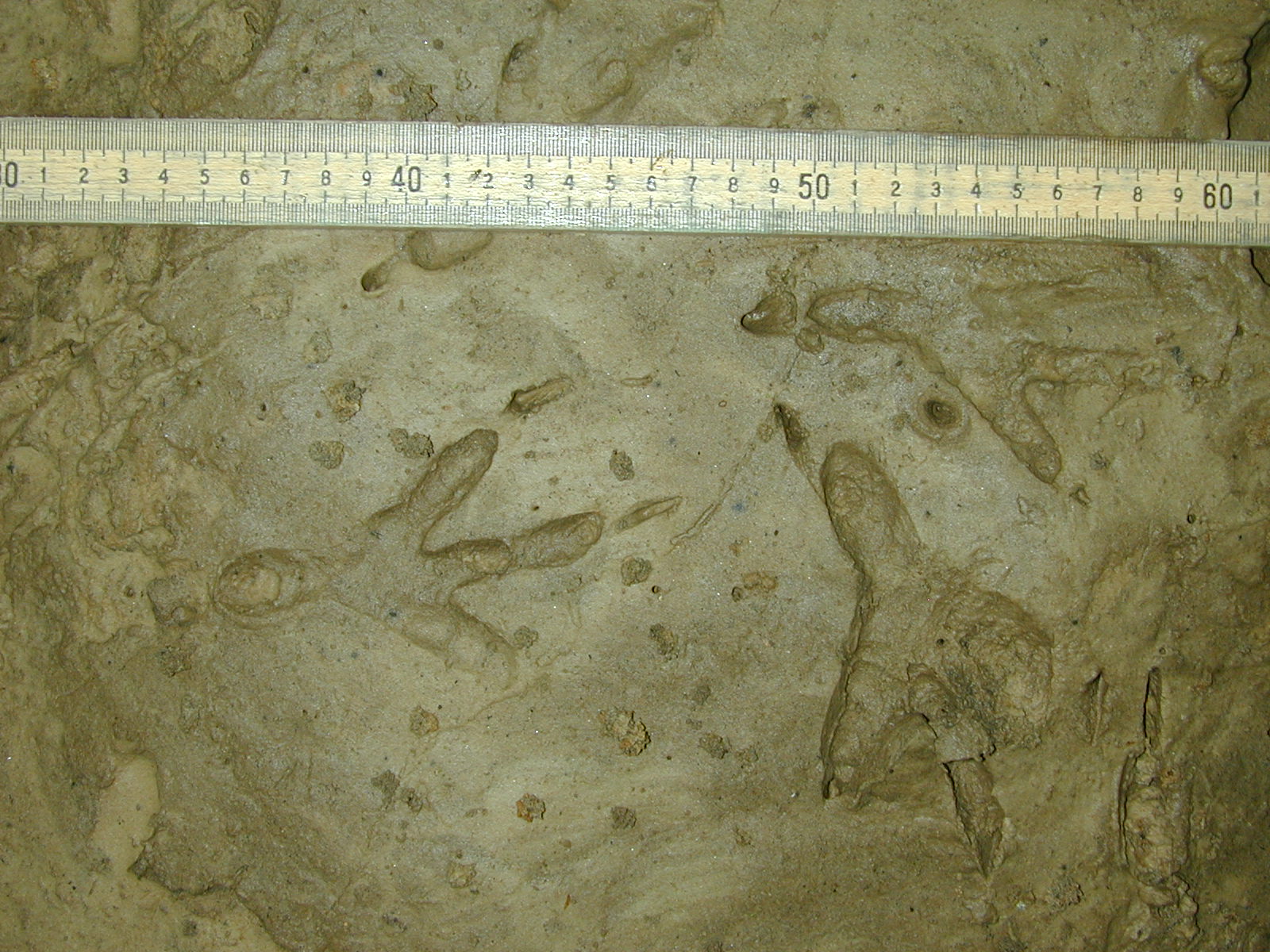 Field photo showing stream conditions at site ZEKI-117-R-2001-51