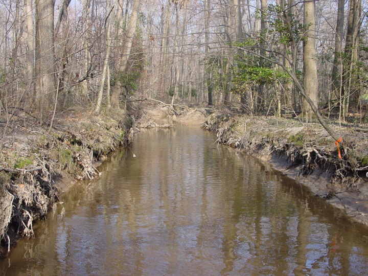 Field photo showing stream conditions at site ZEKI-201-A-2007-2