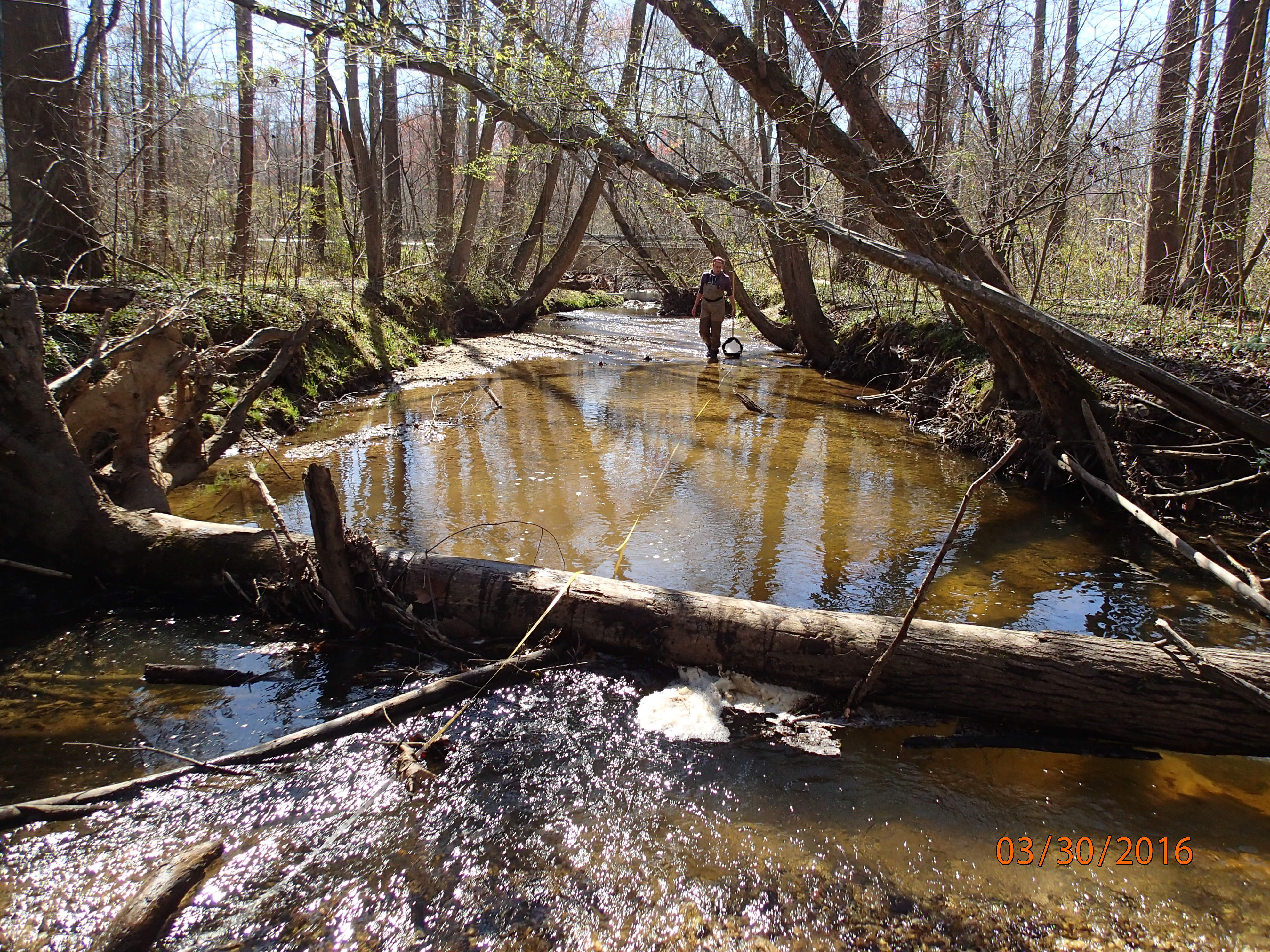 Field photo showing stream conditions at site ZEKI-201-X-2016-MidpointDownstream