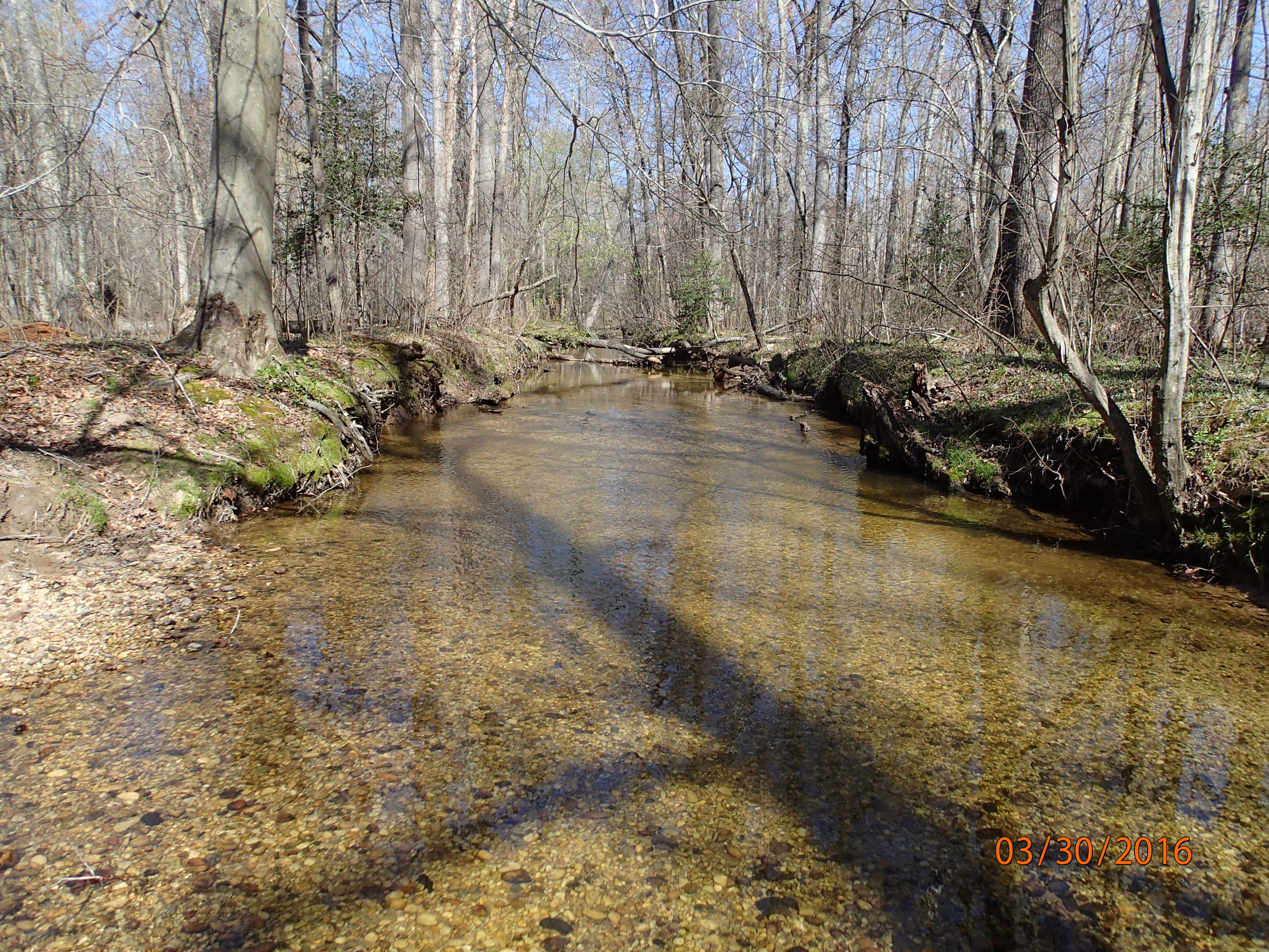 Field photo showing stream conditions at site ZEKI-201-X-2016-MidpointUpstream
